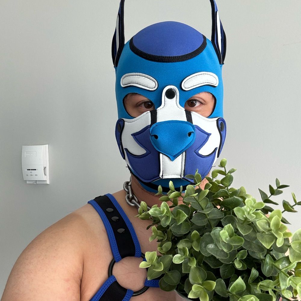 Pup Alaric