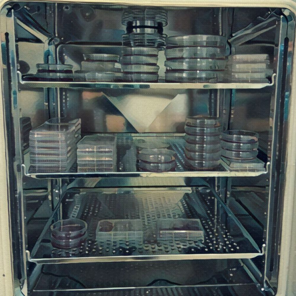 Granada Lab