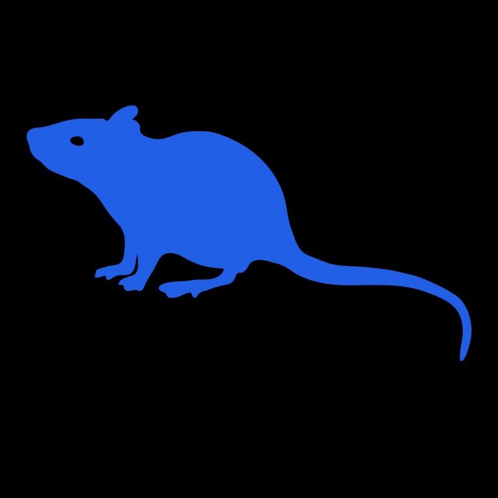mouse