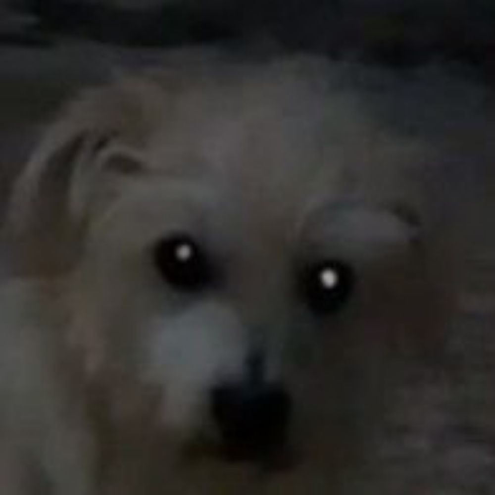 KiinFee 