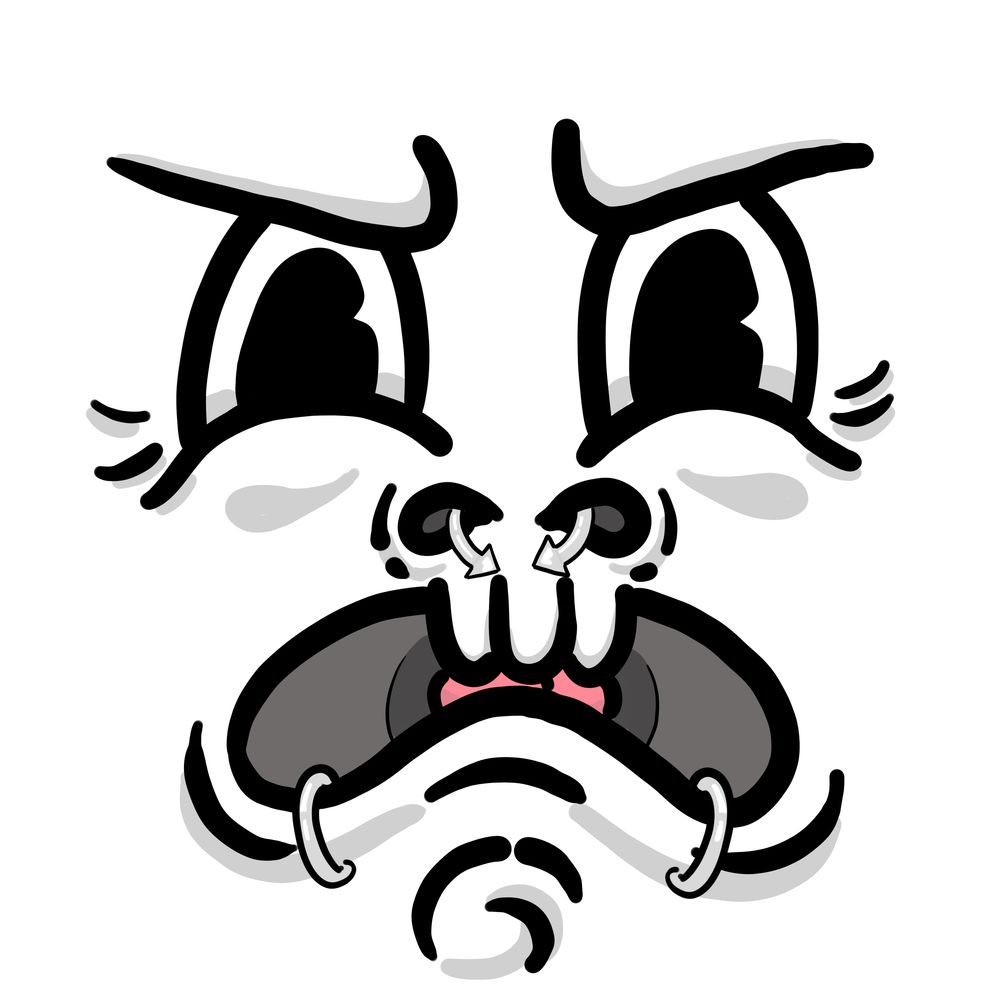 Dalyo