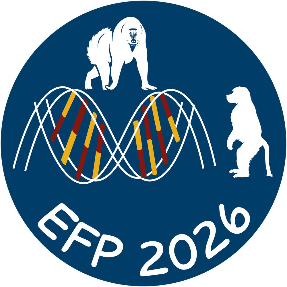 EFP2026