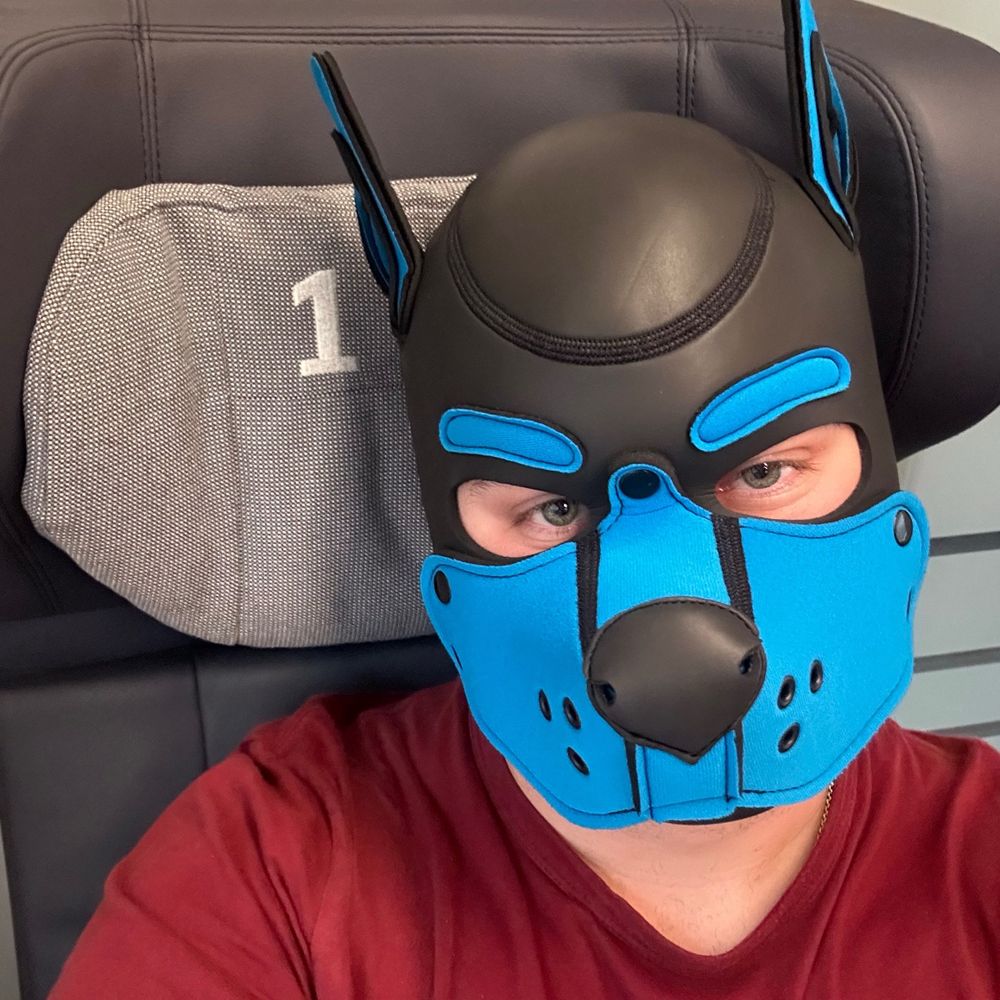 Pup Cauda 