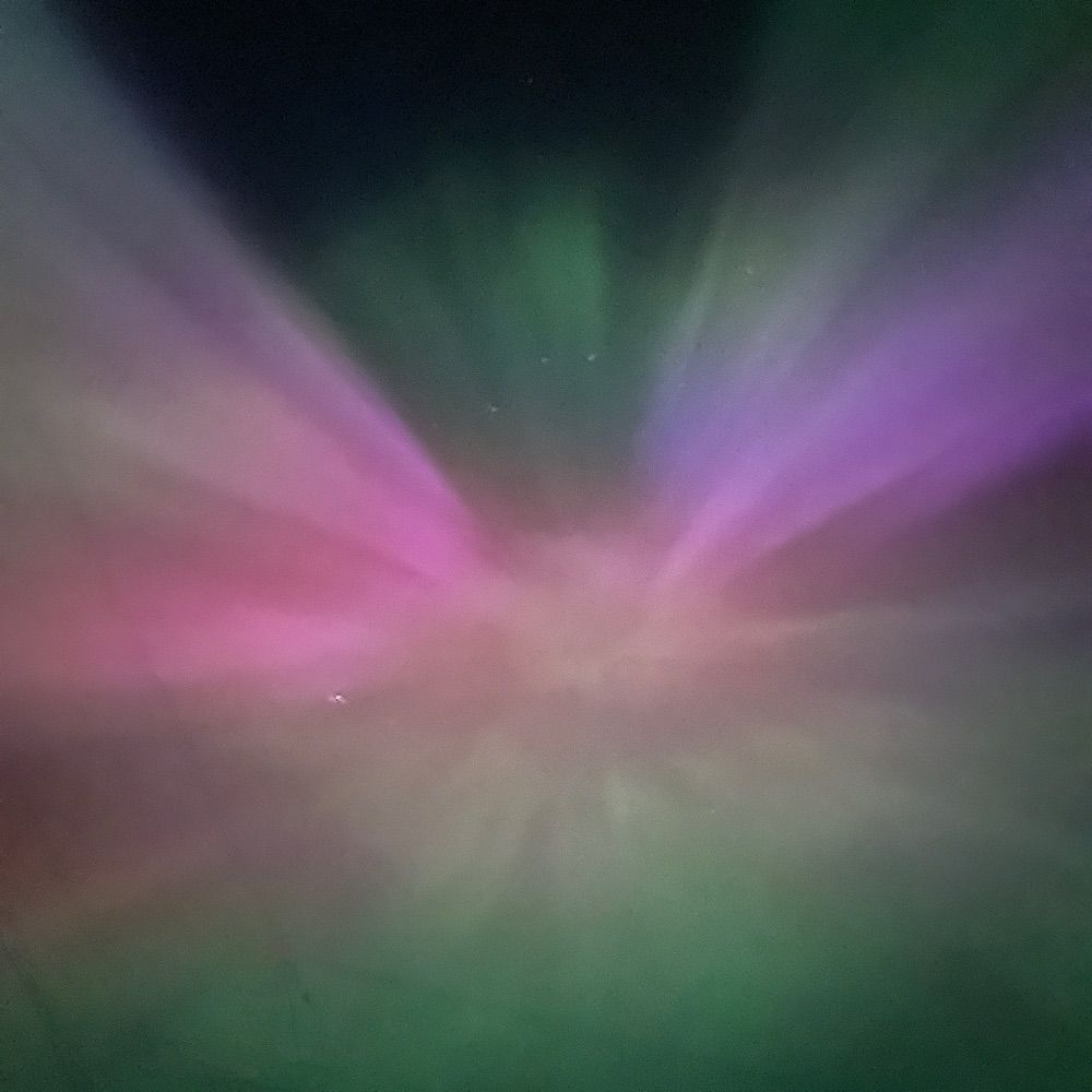 SolAnemone