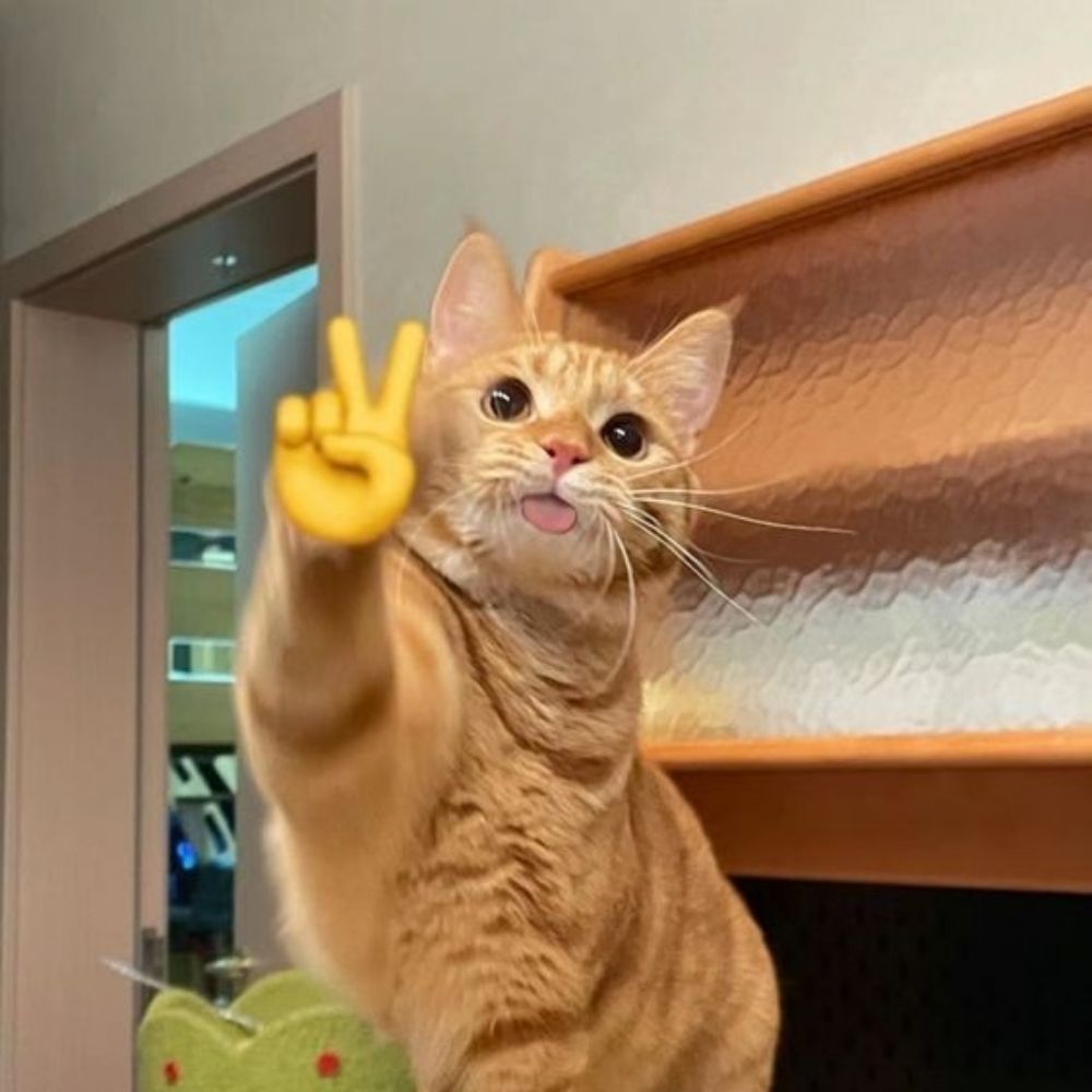 Sin