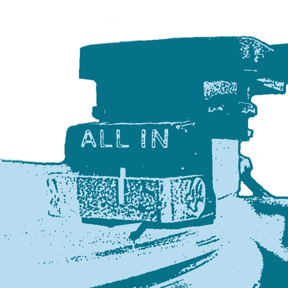 All In Vinyl