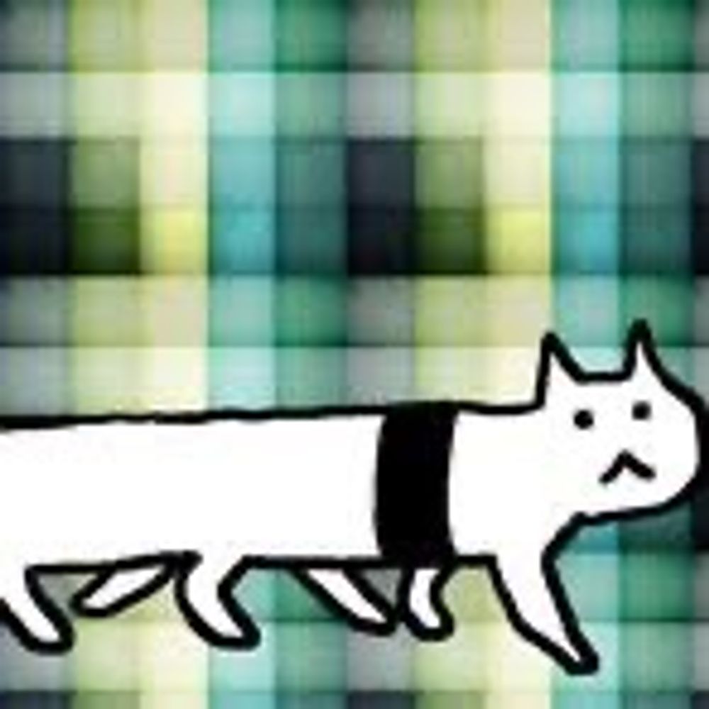 kidd(奈賀井 猫)