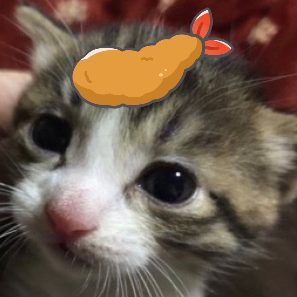 ぶたキャン