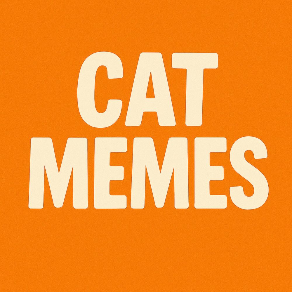 Cat Memes