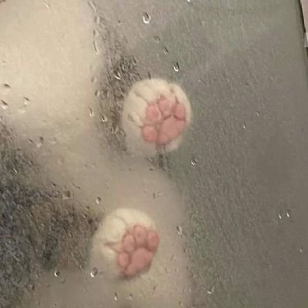 회장(会長)