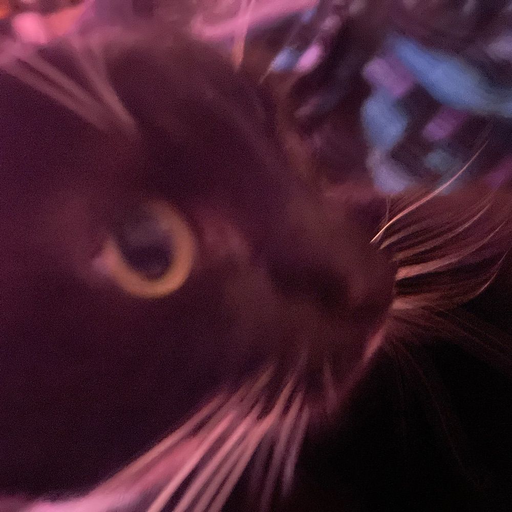 Ash
