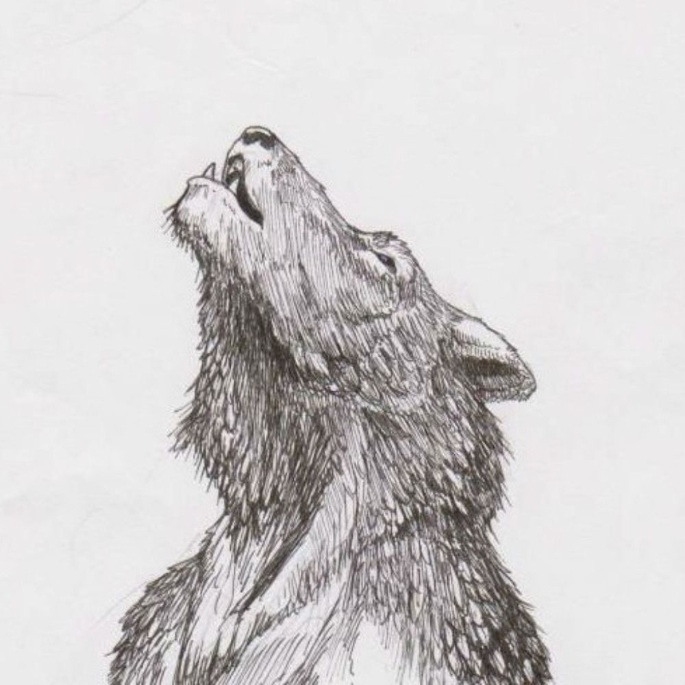 Drawdle