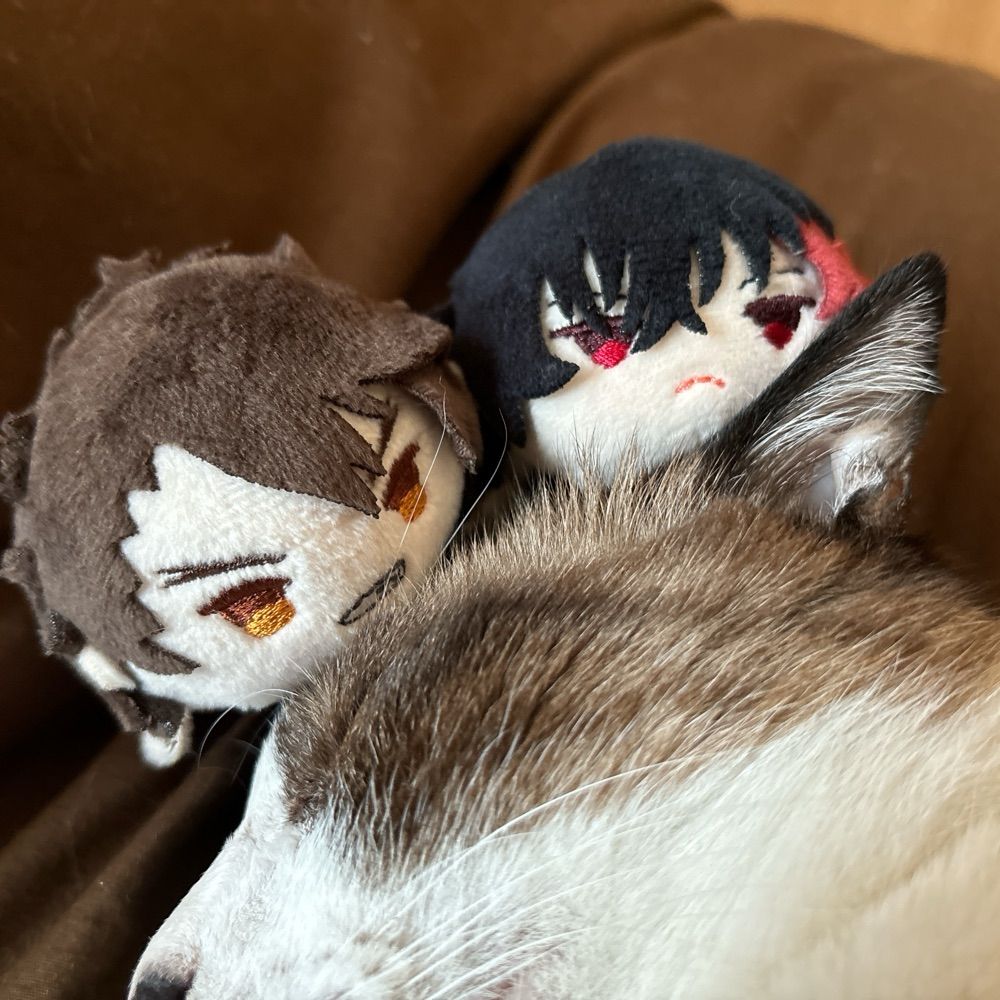 むらい(あぶりがつお)