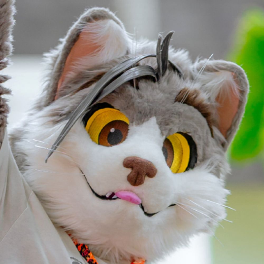 stuCat