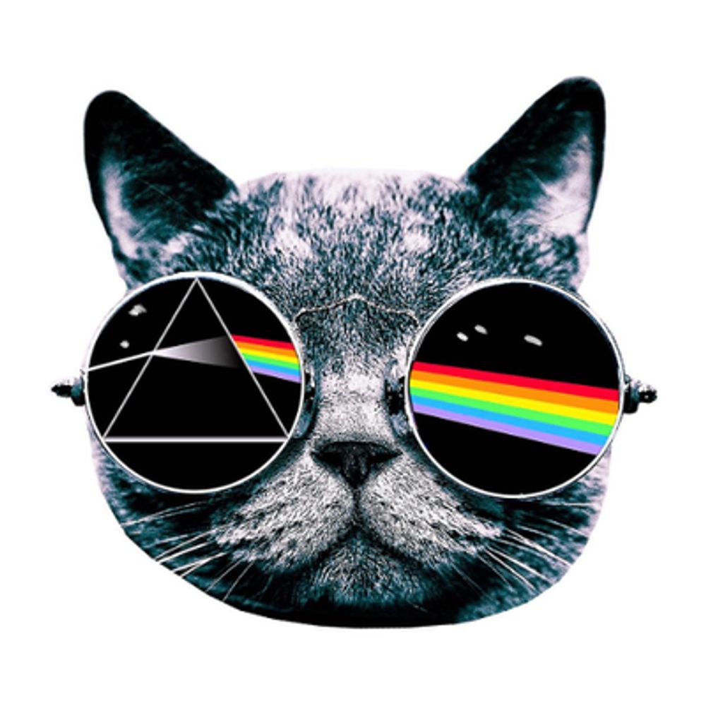 Comfortably Numb