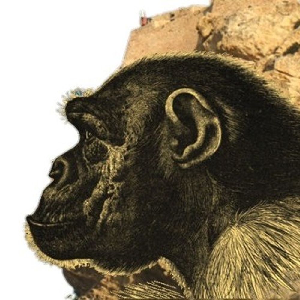 Viscalacant