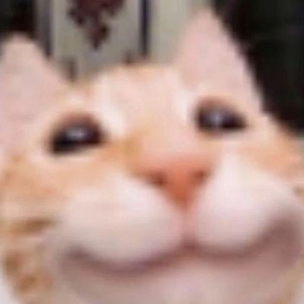 ୨˚̣̣̣͙୧𝒗𝒊𝒊𝒎𝒐𝒐𝒏🧡🤍🩷୨˚̣̣̣͙୧