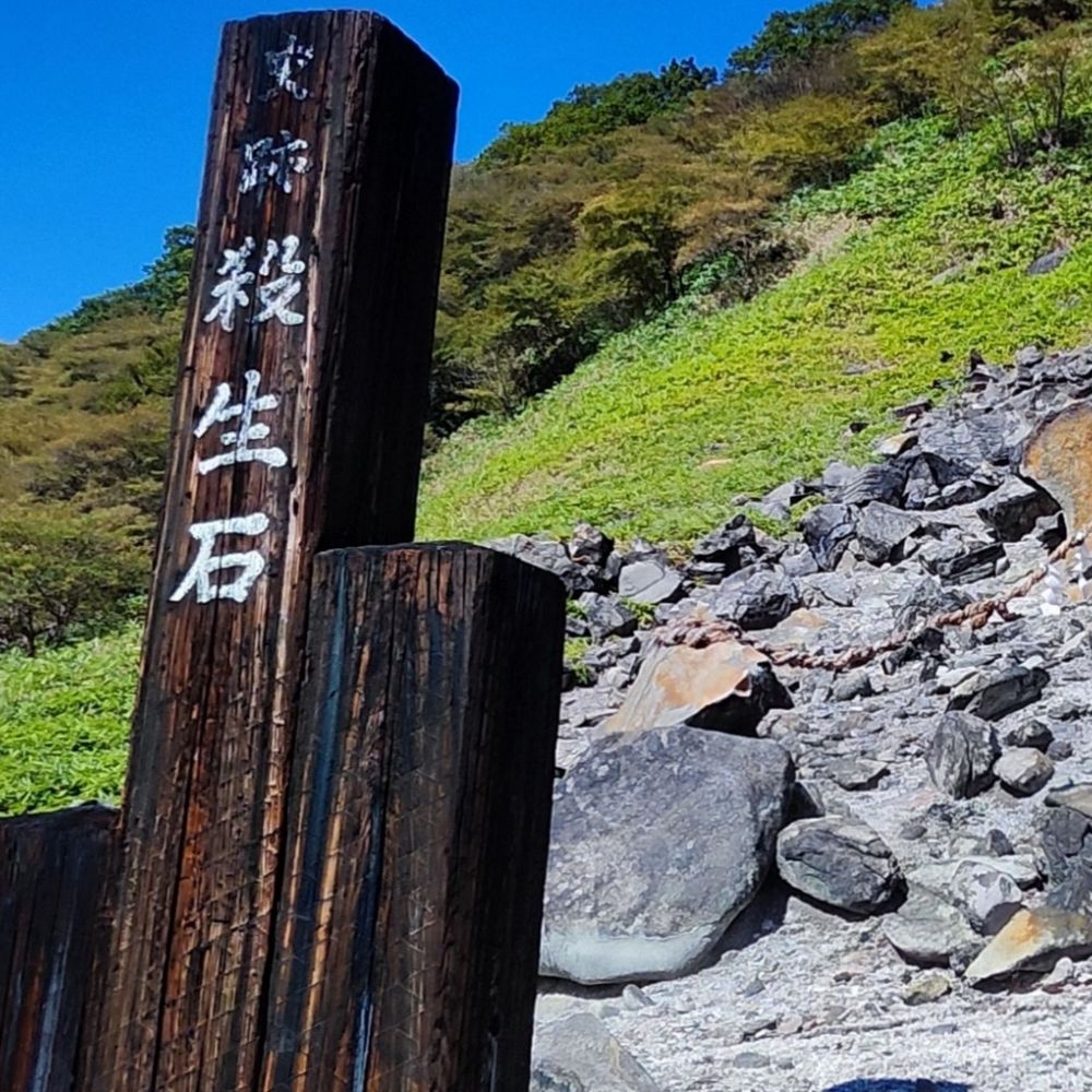 高額納税者