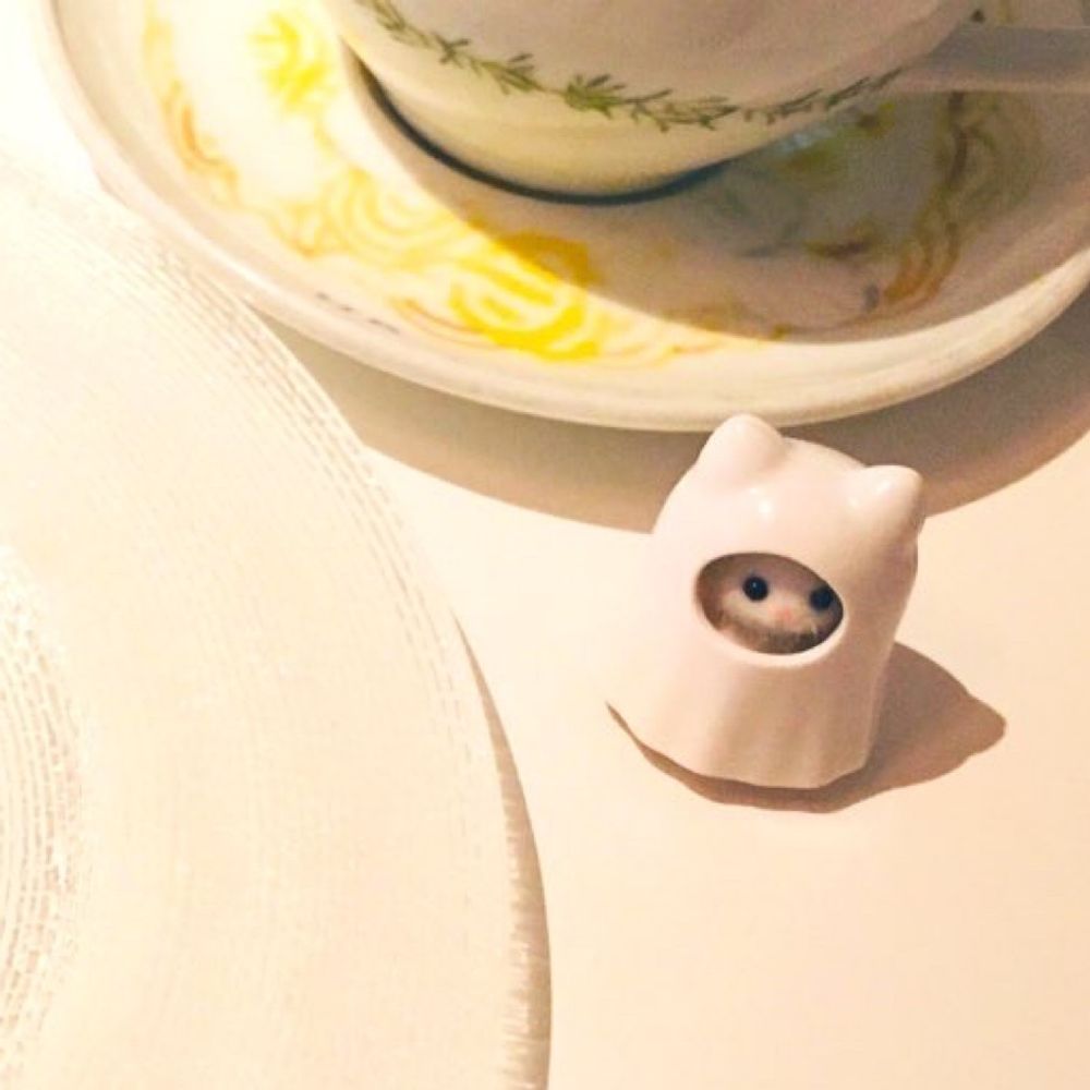 🌼 ꪔ̤̮しかꪔ̤̥ 🌼