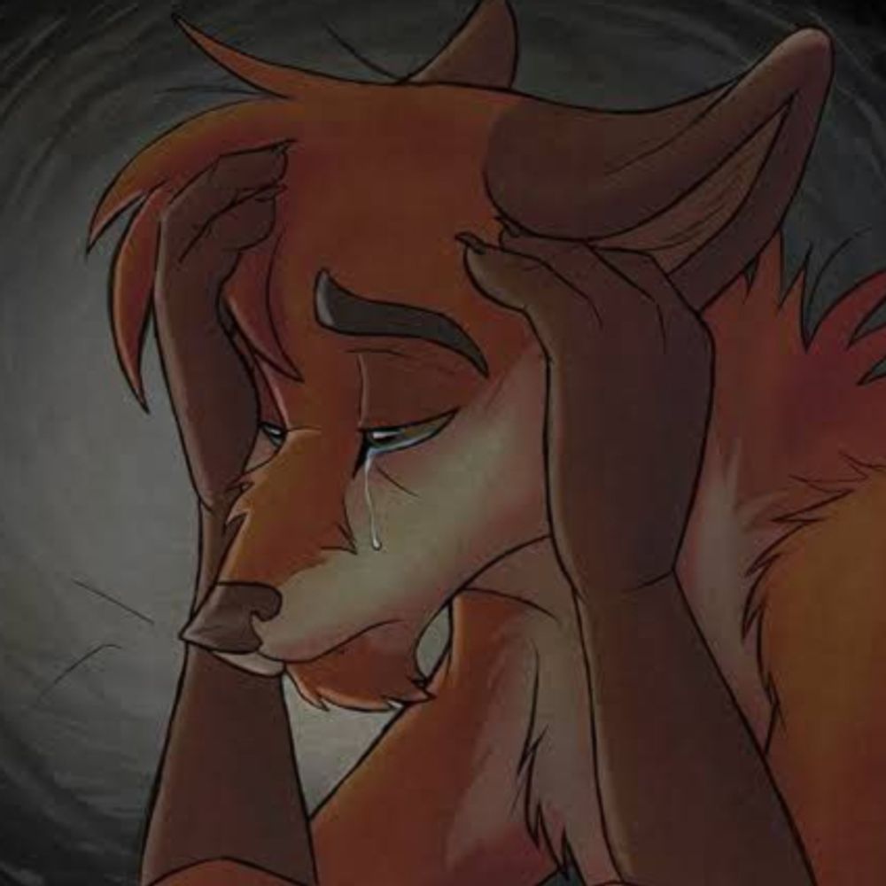 𝘚𝘯𝘰𝘸 ❆