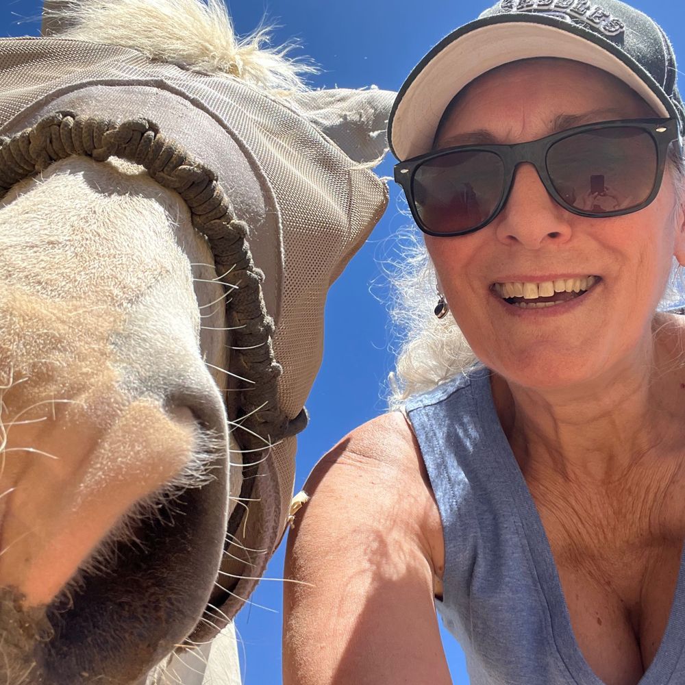 Sheila Branagan