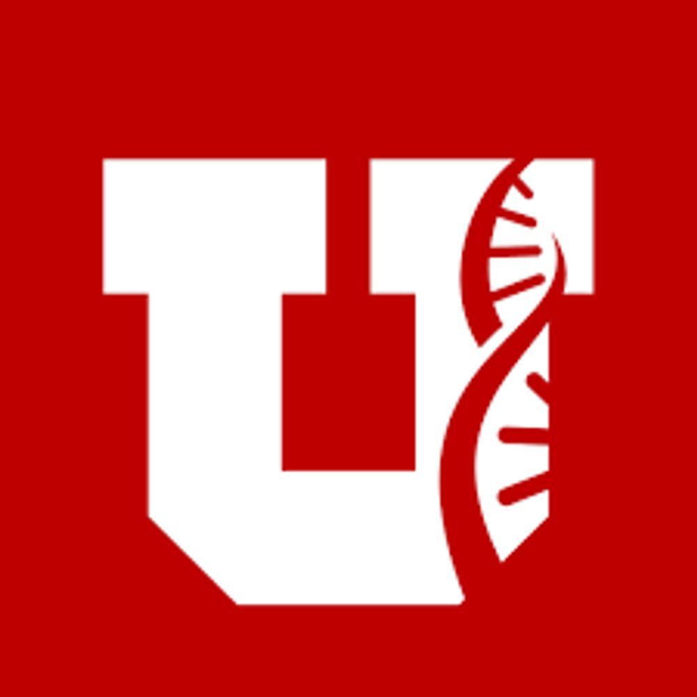 U of U Neurology 