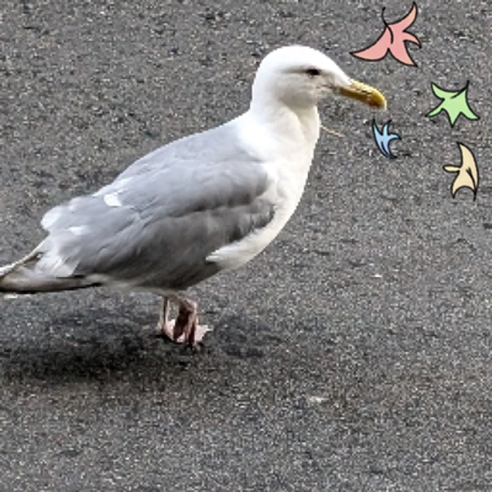 Dominic