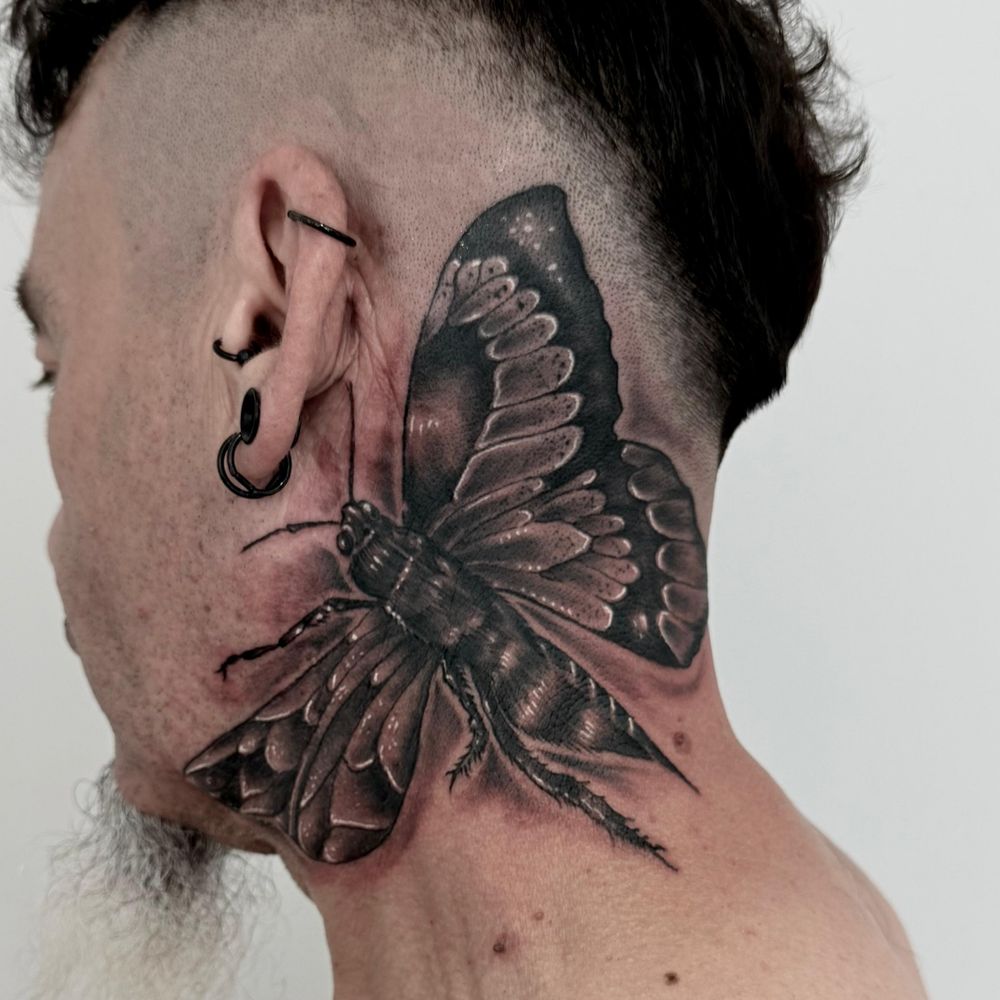 Boxink