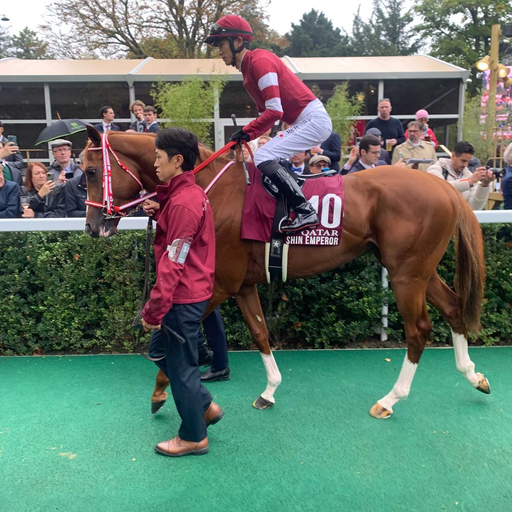 British Horseracing 