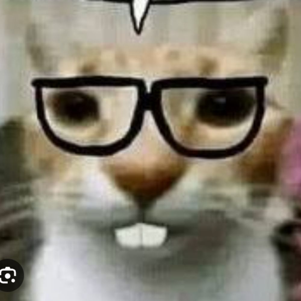 nerdinhokk