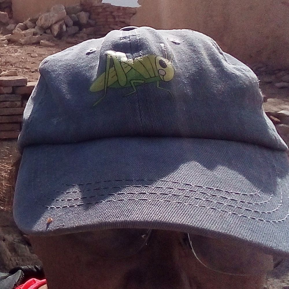 Grasshopper