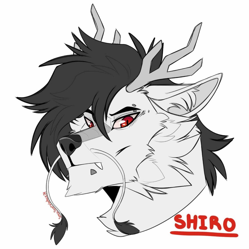 Shiro Stars
