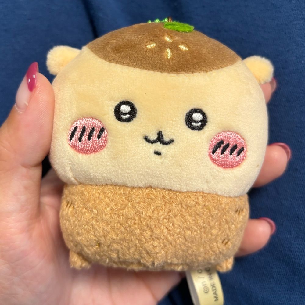 えびまよ