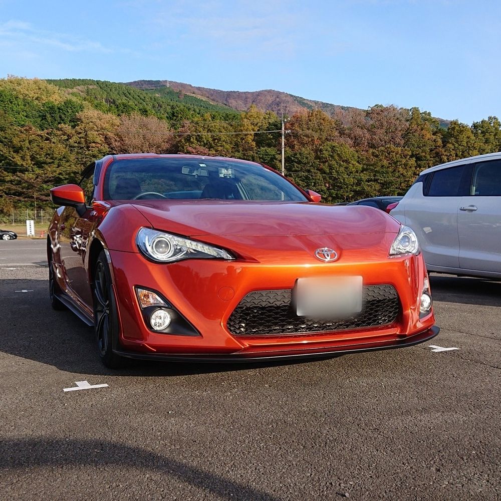 シャモニス