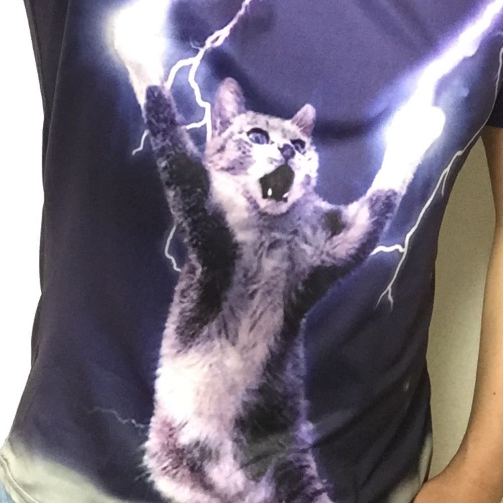 tak.feline