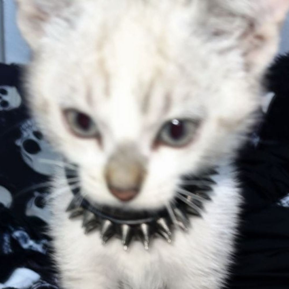 Mika