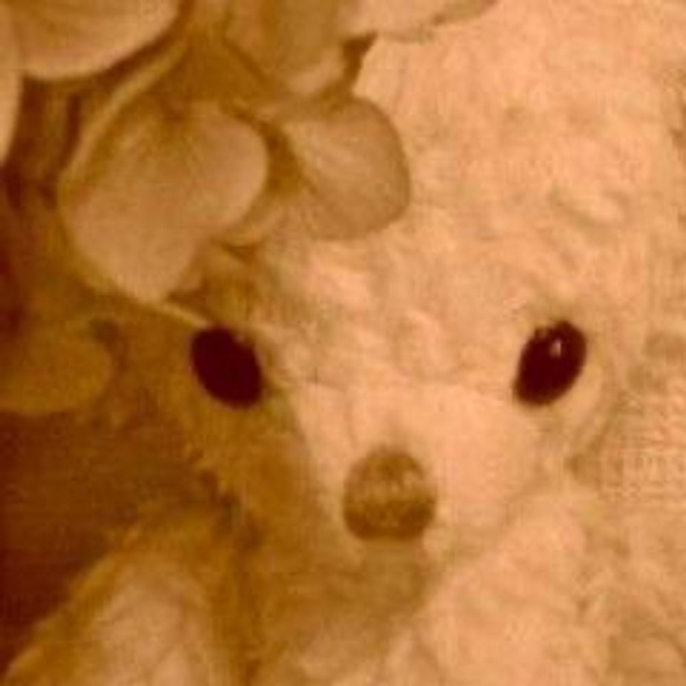 まるべりー