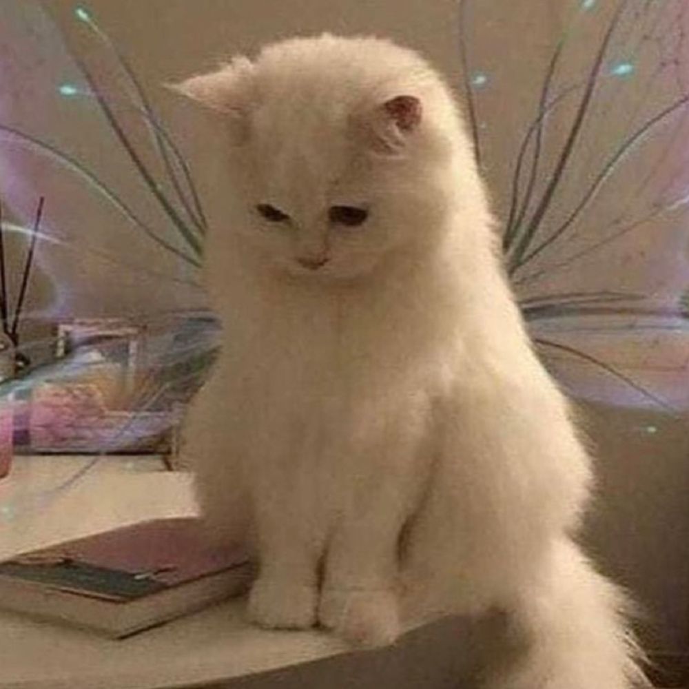 𝐹𝓇𝒶𝓃𝓀𝒾𝑒𝐻𝑒𝑔𝒽❀𝒷