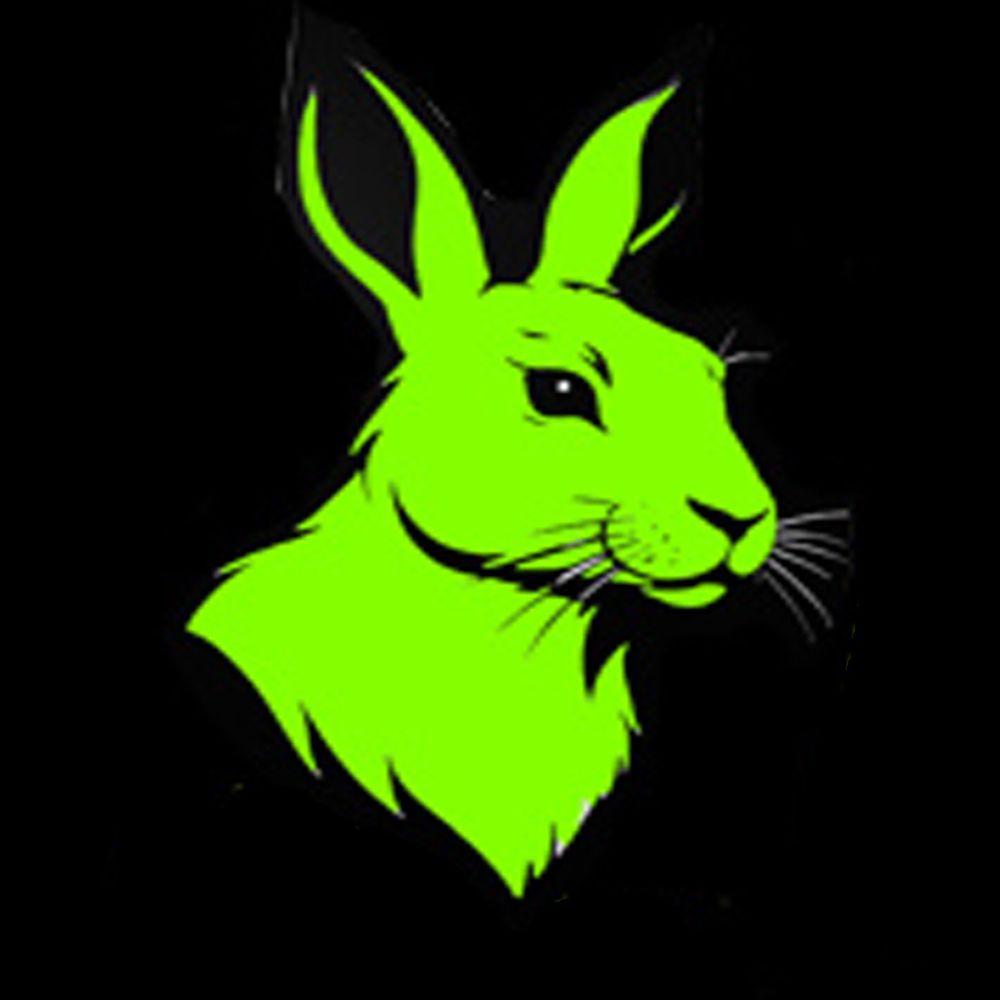 RABBIT HOLE COMIC