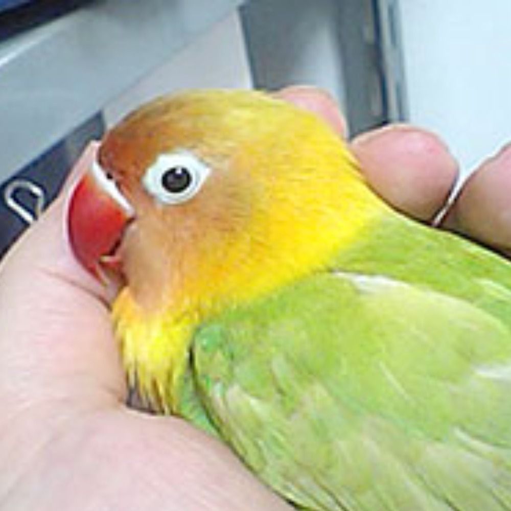 みずきひとし
