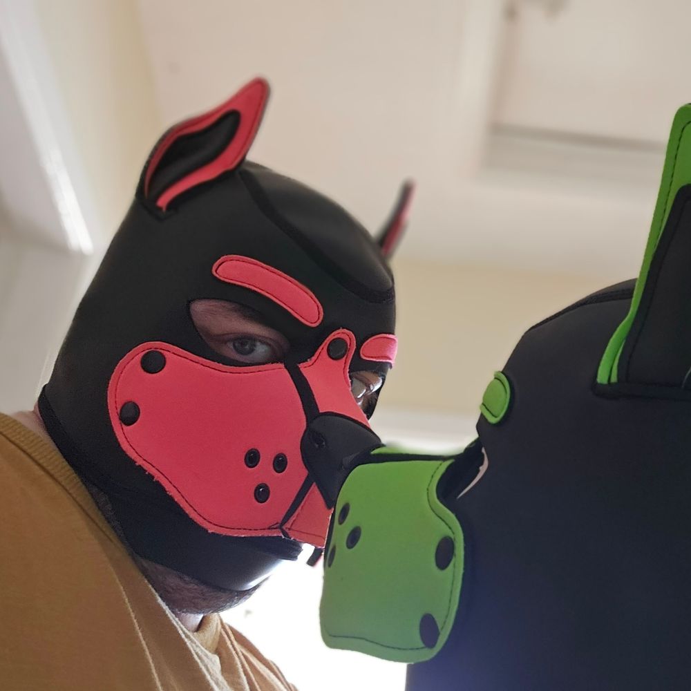 Pup Azri