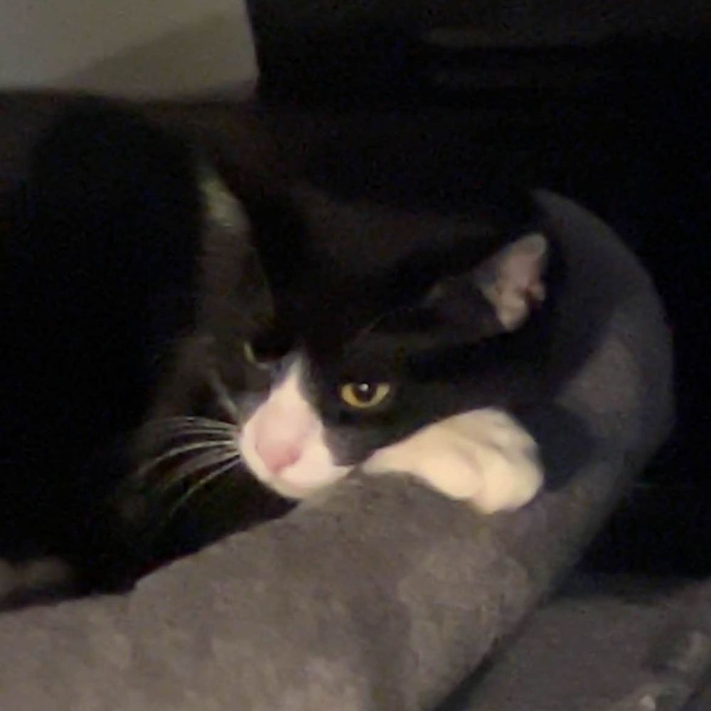 ッ