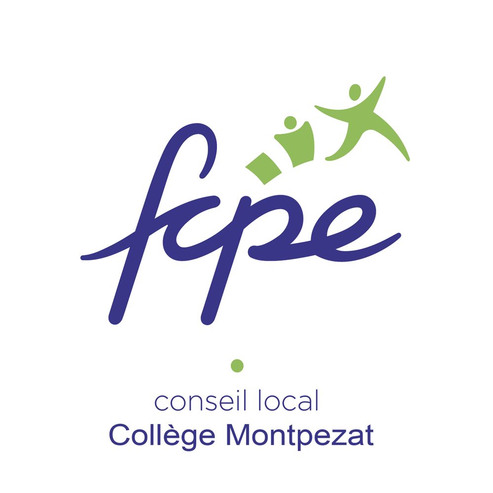 Conseil local du collège Montpezat de Sens (89)