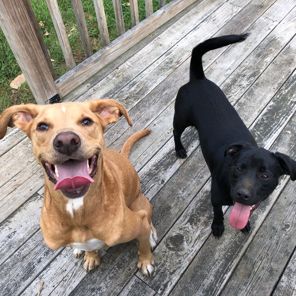 Maple & Eli 