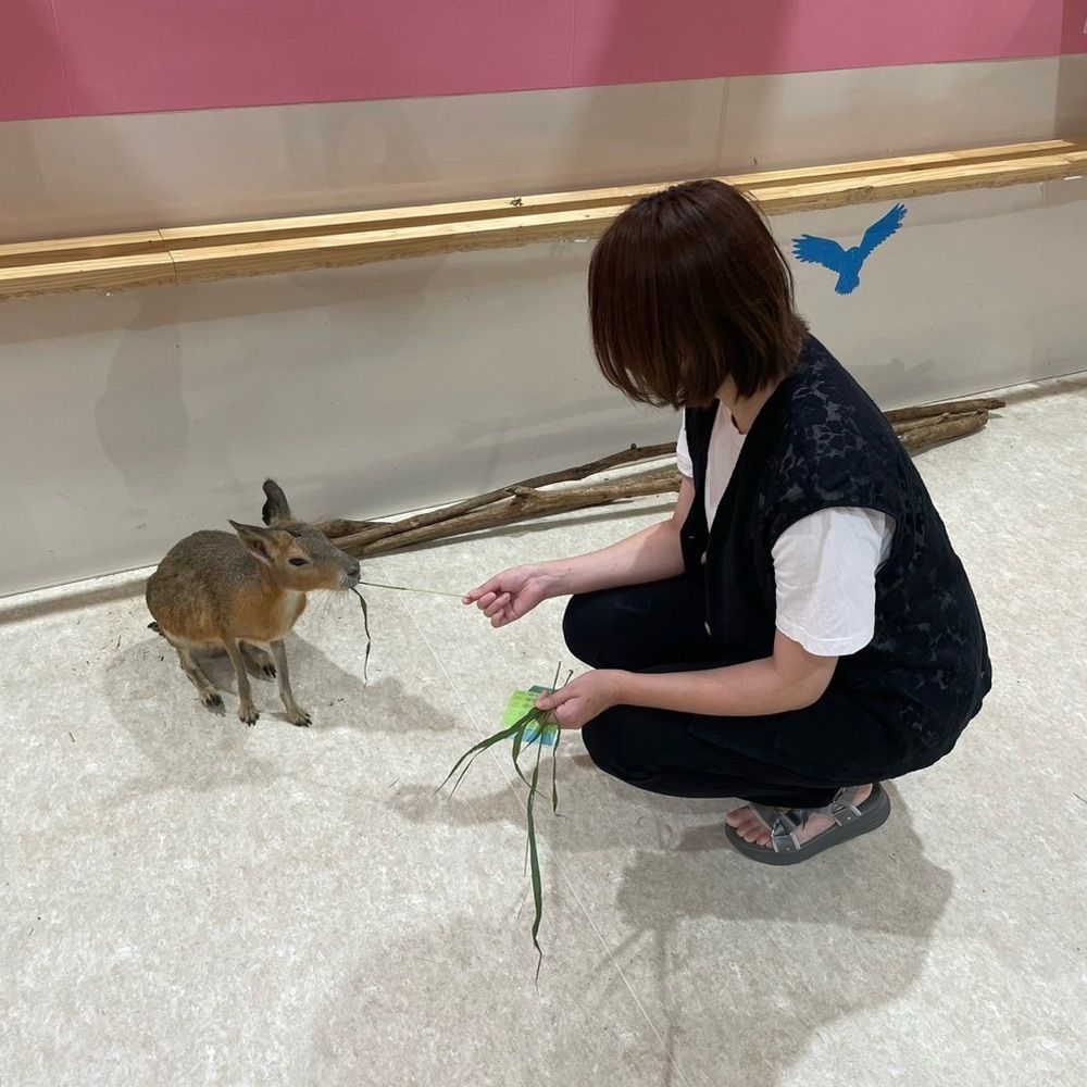 おすず