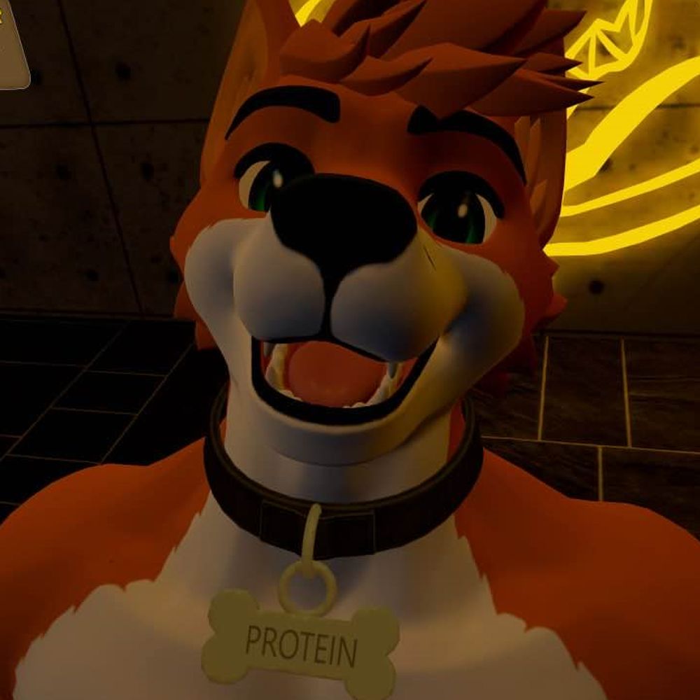 Vincer Renard