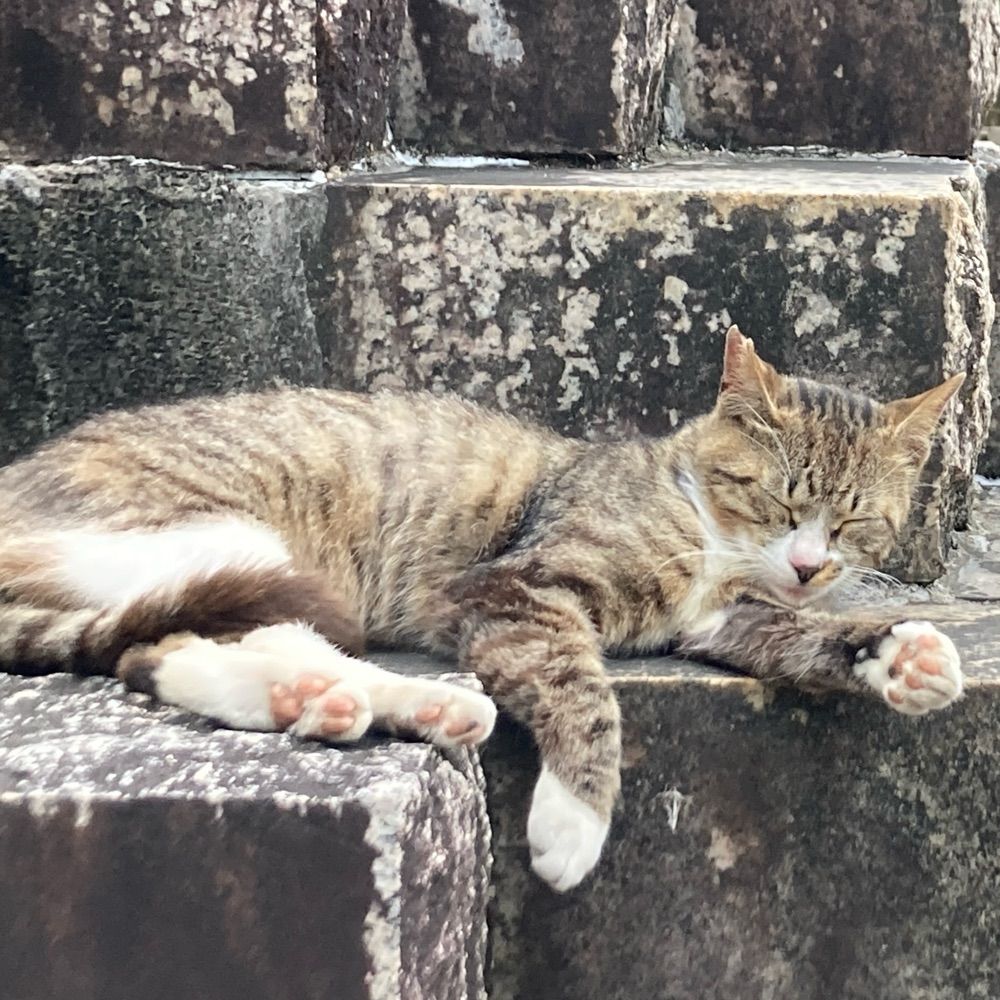 しゆ