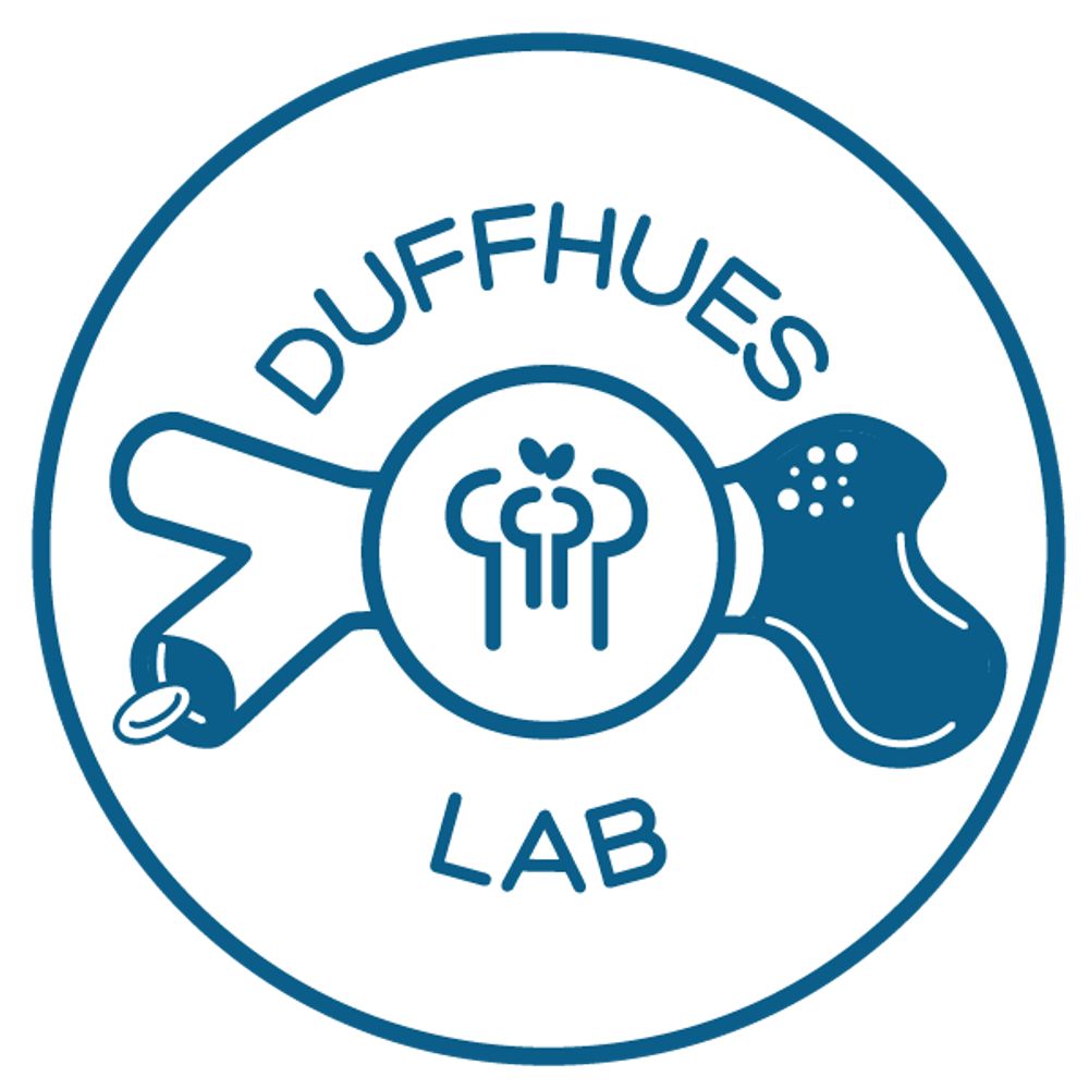 Duffhues lab