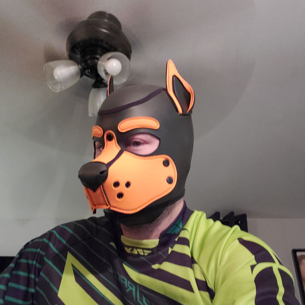 Spazy Pup