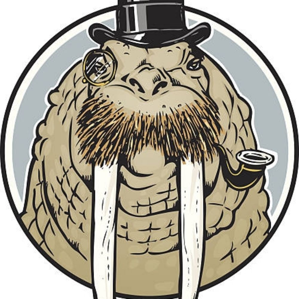Haphazard Walrus